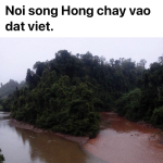 IMG_5770.png