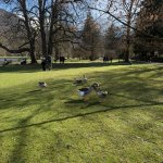 IMG_2407.jpeg