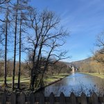 IMG_2431.jpeg