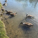 IMG_2477.jpeg