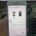 IMG_7294.jpeg
