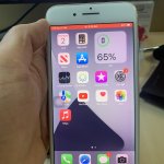 IMG_7295.jpeg