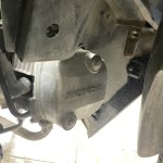 IMG_3263.jpeg