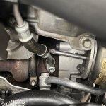 IMG_5917.jpeg