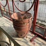 IMG_3261.jpeg