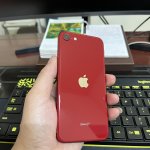 IMG_2144.jpeg