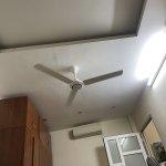 IMG_3512.jpeg