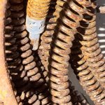 IMG_1055.jpeg