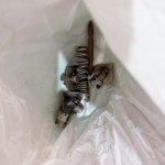 IMG_1056.jpeg