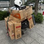 IMG_6062.jpeg