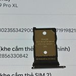 1000119255.jpg
