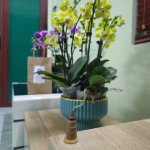 c8fcf0602371ad2ff460.jpg