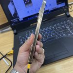 IMG_2992.jpeg
