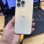 IMG_2990.jpeg