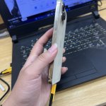 IMG_2991.jpeg