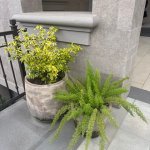 IMG_8390.jpeg