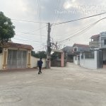 TC_00893.jpeg