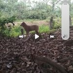 Screenshot_20260321_085107_Video Player.jpg