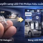 Đèn led T10 philips pro3100.png