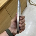 IMG_3122.jpeg