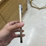 IMG_3120.jpeg