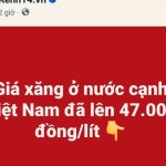 1000034715.jpg