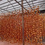 IMG_0218.jpeg