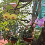 IMG_8450.jpeg