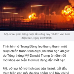 IMG_0482.png