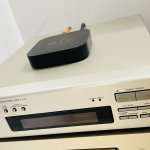 IMG_4847.jpeg