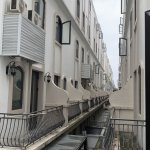 IMG_2881.jpeg