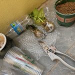 IMG_5493.jpeg