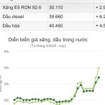 IMG_6230.jpeg