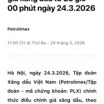 IMG_3658.jpeg