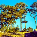 Scan-140319-0018.JPG