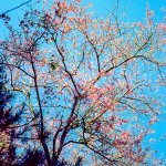 Scan-140319-0032.JPG