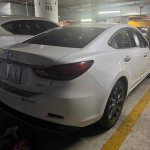 IMG_5095.jpeg