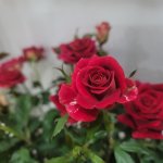 20260324_211724.jpg