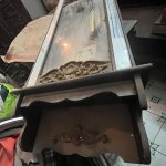 IMG_3735.jpeg