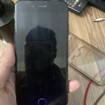 IMG_4811.jpeg