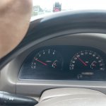 IMG_0976.jpeg