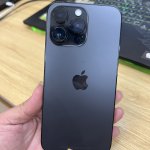IMG_3409.jpeg