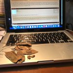 IMG_5853.jpeg