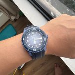 IMG_0950.jpeg