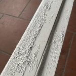 IMG_3713.jpeg