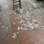 IMG_3714.jpeg