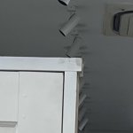 IMG_3775.jpeg