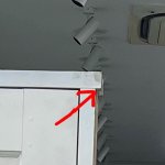 IMG_3876.jpeg