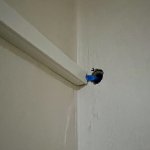 IMG_3887.jpeg
