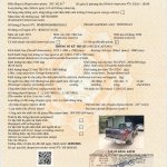 z7673174459220_baa33fef529ab758b5e3977c9e011a51.jpg